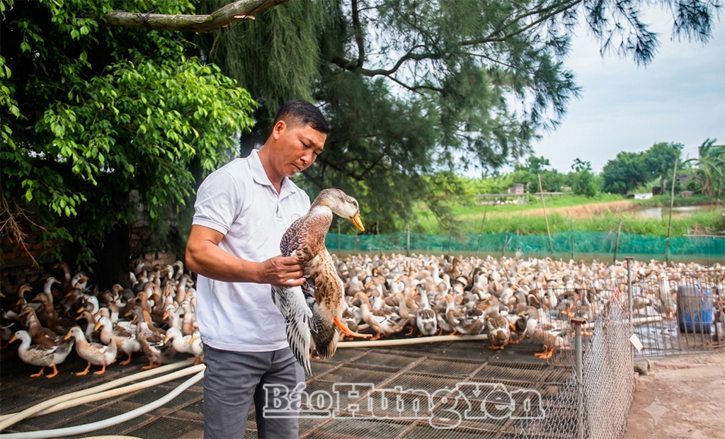 Nâng tầm nông sản địa phương từ chương trình OCOP