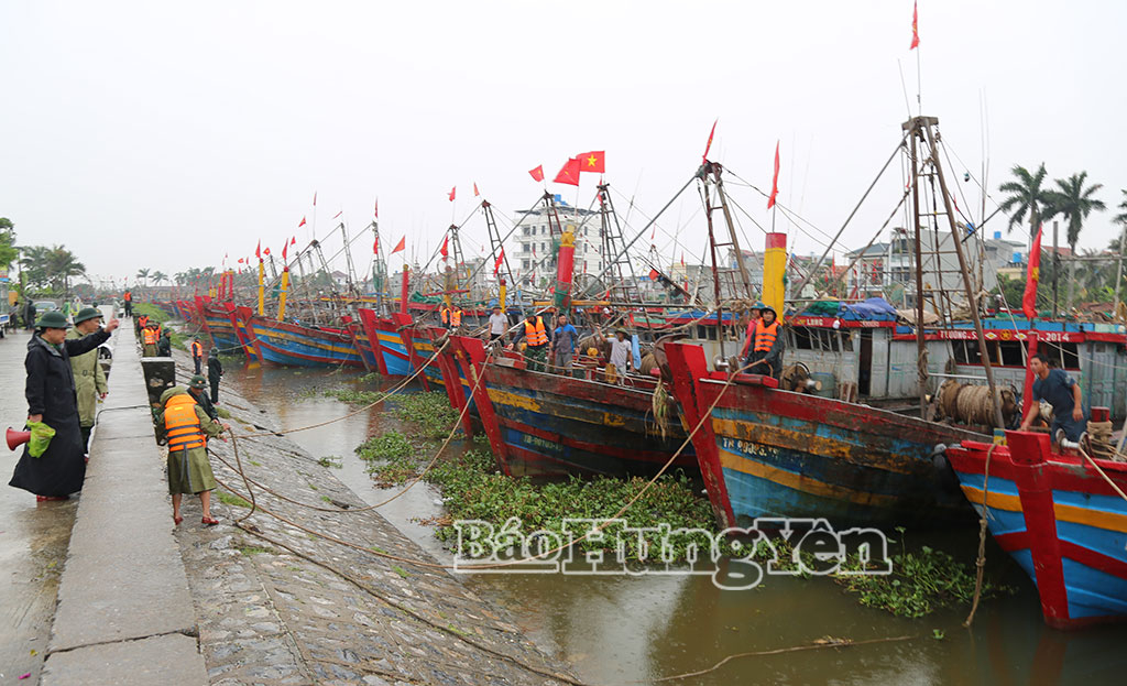 Bộ đội Biên phòng tỉnh chủ động ứng phó với cơn bão số 4