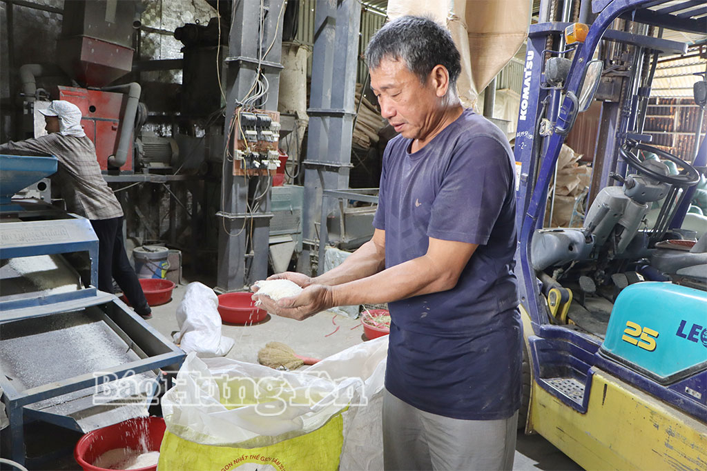 Xã Vũ Quý tập trung khai thác tiềm năng các lĩnh vực kinh tế