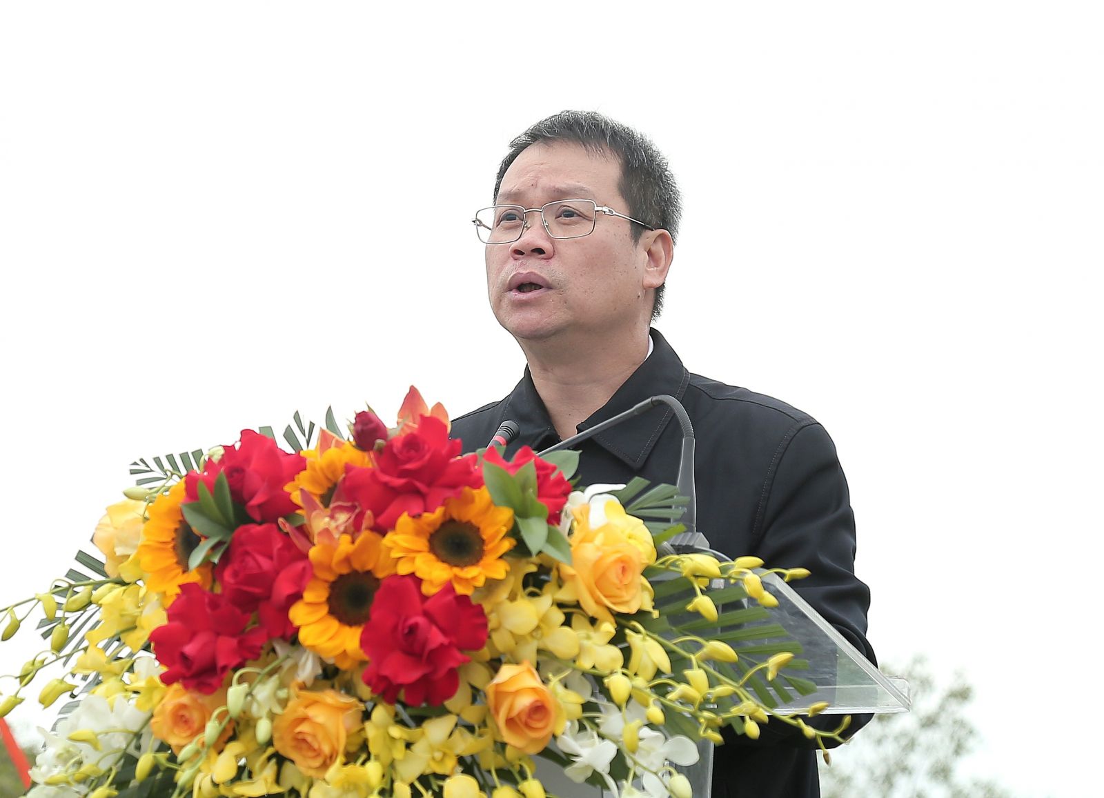 Lễ phát động “Tết trồng cây đời đời nhớ ơn Bác Hồ” xuân Ất Tỵ 2025 và hưởng ứng ngày đất ngập nước thế giới năm 2025