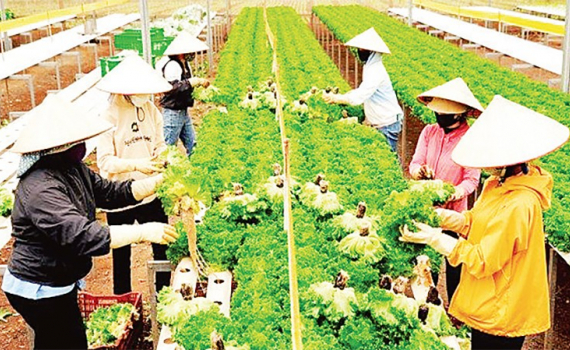 Đẩy mạnh chuyển đổi số trong sản xuất nông nghiệp