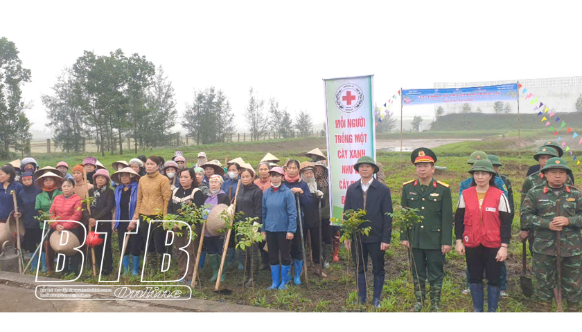 Quỳnh Phụ: Tổ chức trồng hơn 11.000 cây xanh