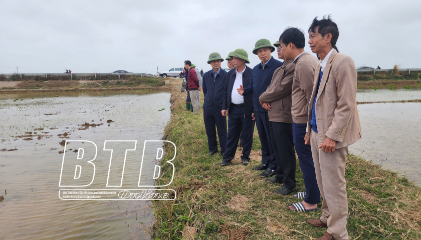 Tuân thủ lịch thời vụ gieo cấy lúa xuân