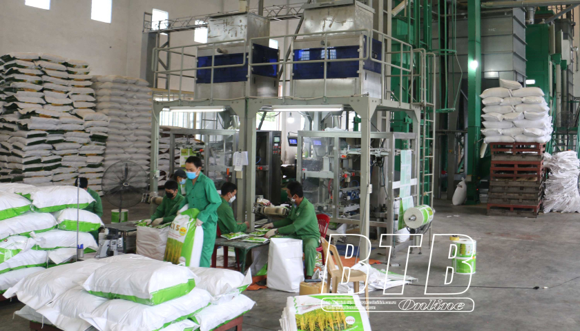 Kỳ 3: Huy động sức mạnh cộng hưởng từ doanh nghiệp (Tiếp theo và hết)