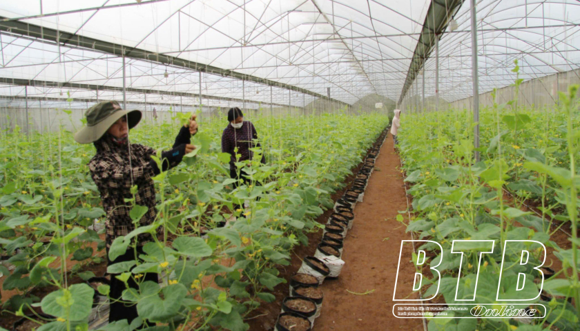 Kỳ II: Bền bỉ những chặng đường phía trước